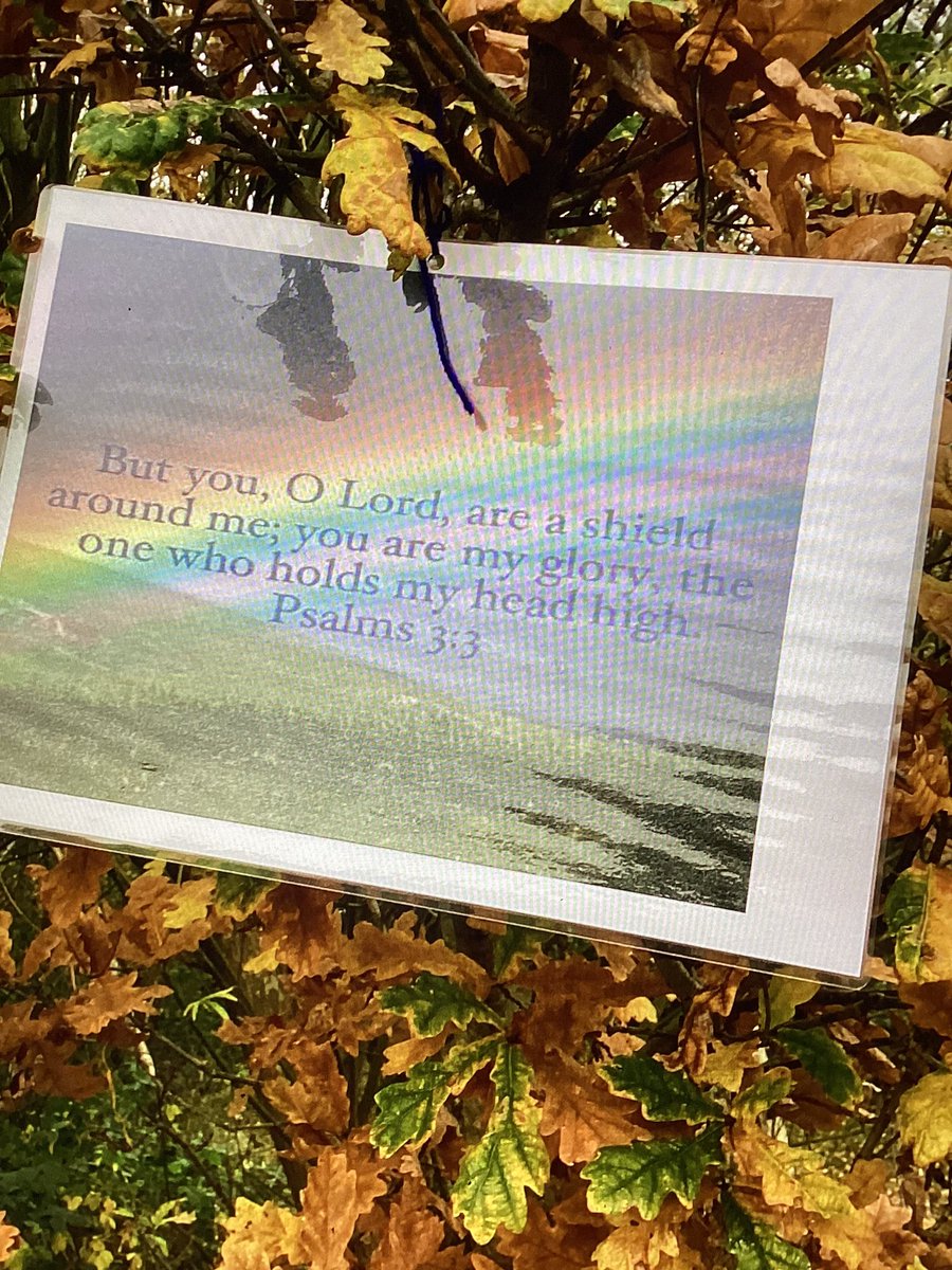 staidansbYear4's tweet photo. This morning, year 4 went on a Psalm hunt, exploring the nature of God and discussing the key messages. We spoke of how we can bring everything to God in prayer 🙏 @Staidansb @MrsF_staidansb @StaidansbSMoore https://t.co/Qxjn1BDBlh