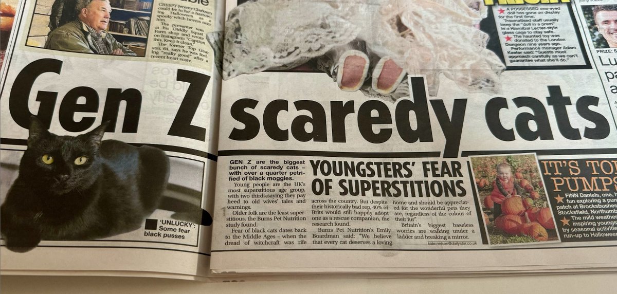 Paper Cuts Podcast tweet media