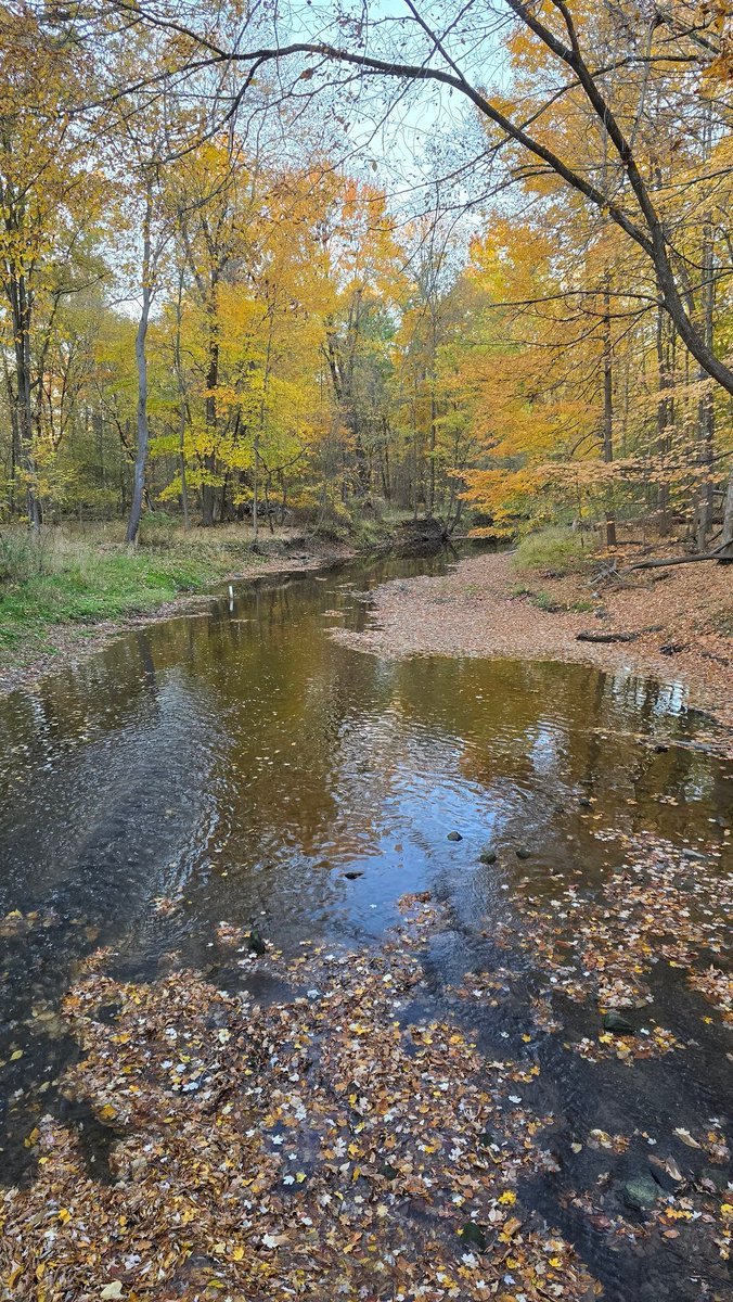 Some pics that I took while walking in the park