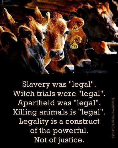 Nothing humane in the legality of things. Should we expect better from humans? I keep hoping knowing the hearts of vegans. Maybe justice has a future...