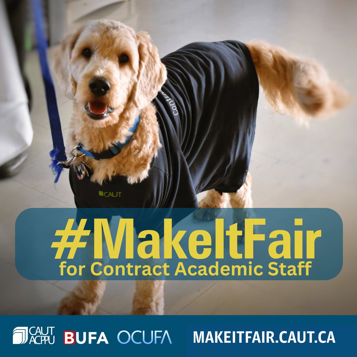 Job security, fair pay, and benefits for contract faculty will deliver fairness for workers and protect the high‐quality education our students deserve. 
#Fairness4CF #MakeItFair #BrockU
ocufa.on.ca/fairness makeitfair.caut.ca