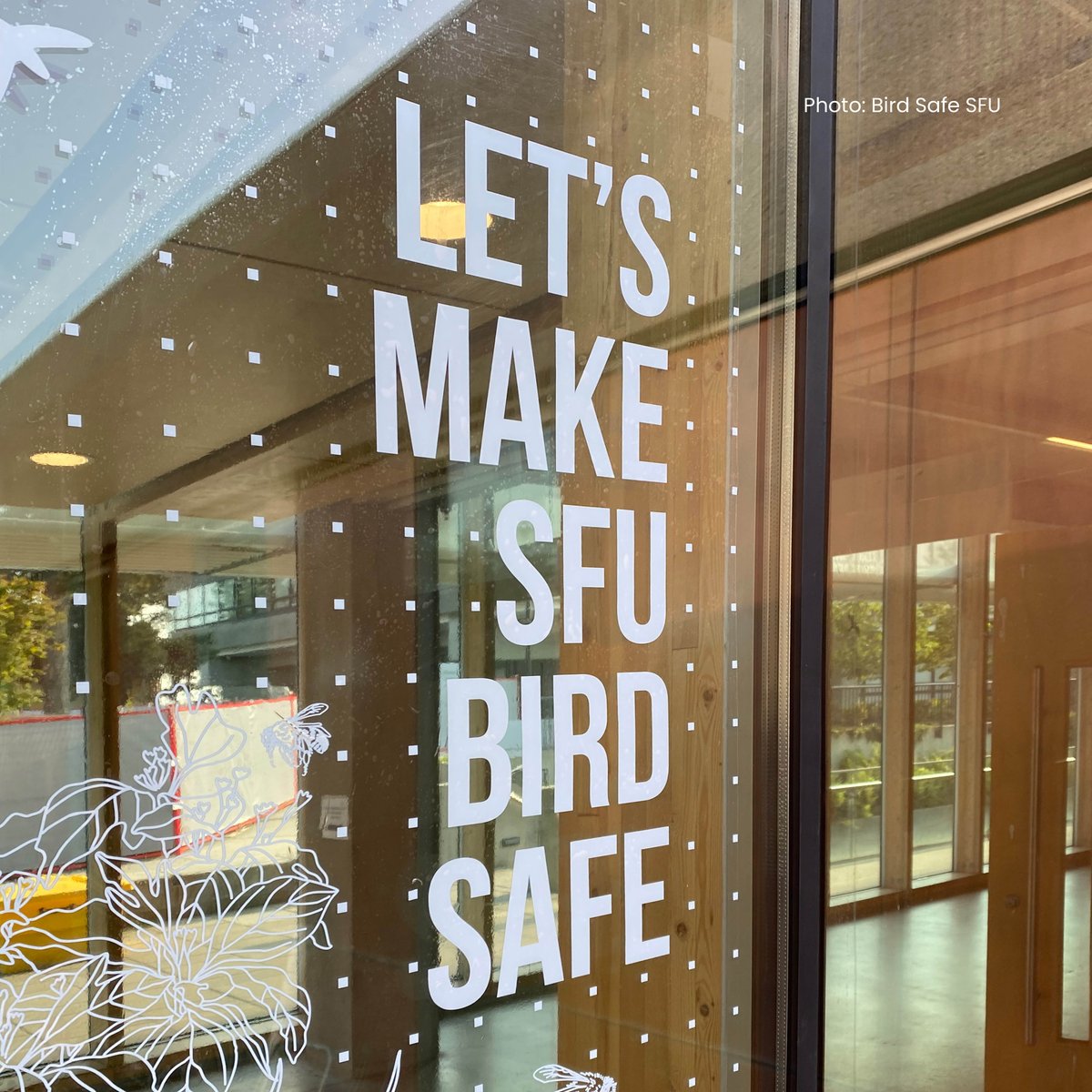 FeatherFriendly's tweet image. Education drives lasting change! Working with @VanessaHum_, we created a custom static cling that says &quot;Make SFU Bird Safe&quot; and features bird imagery. Vanessa’s dedication to tracking collisions is inspiring change for bird safety on the @sfu campus!

#birdsafe #featherfriendly