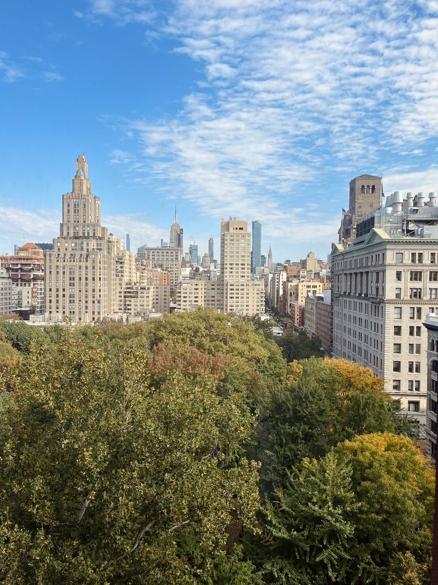 Alessandro Basile tweet media