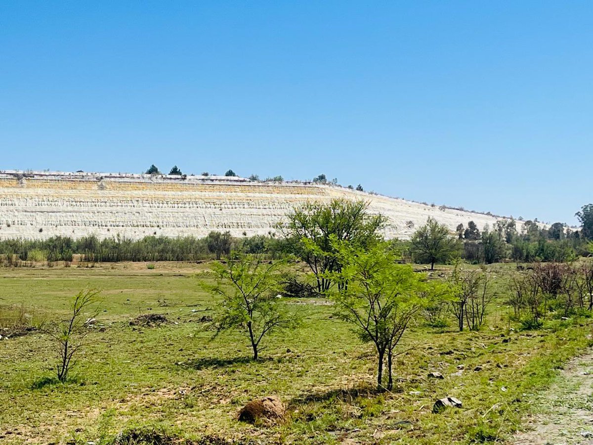 JB_MiningAfrica's tweet photo. The town of Welkom has grown on the back of decades of gold and uranium mining operations.
As well as the traditional underground operations there are a number of uranium and gold tailings retreatment projects operating and under consideration.
@NeoEnergyMetals #NEO https://t.co/bD0qQ0Q0Gl
