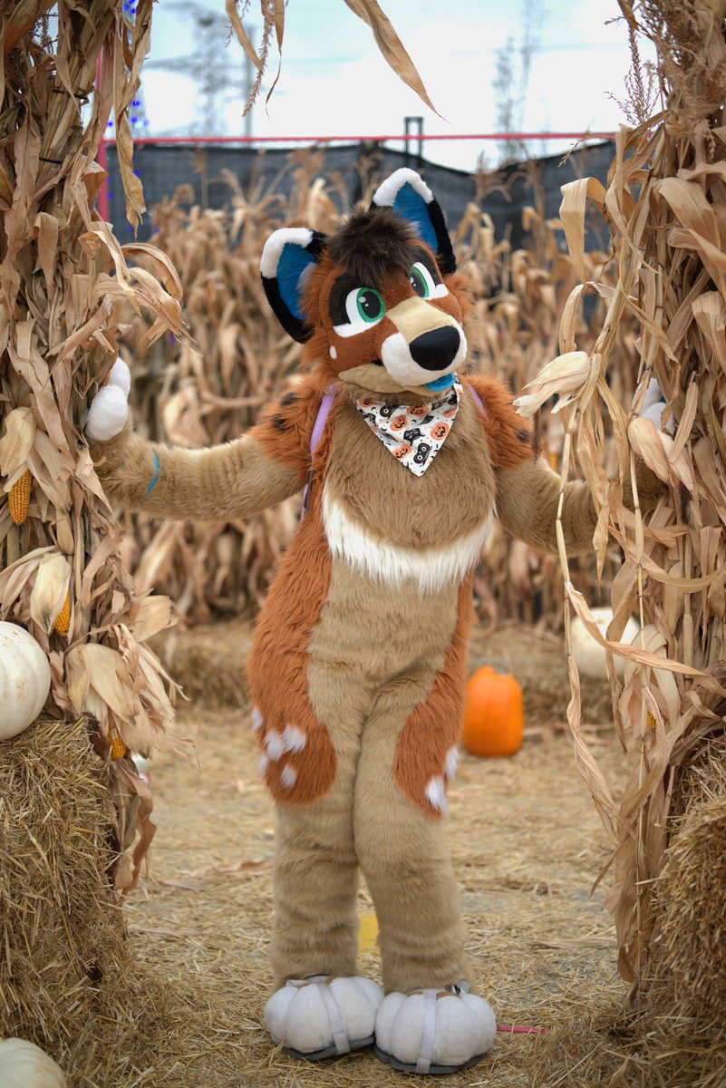 Happy Halloween weekend!! 🎃 🕸️ 🍂 What kind of spooky plans does everyone have? 👻 

📷 <a href="/DecoFox2/">Deco Fox</a> 
🧵 <a href="/PNWorks/">↠ Pin & Needle Works ↞</a>