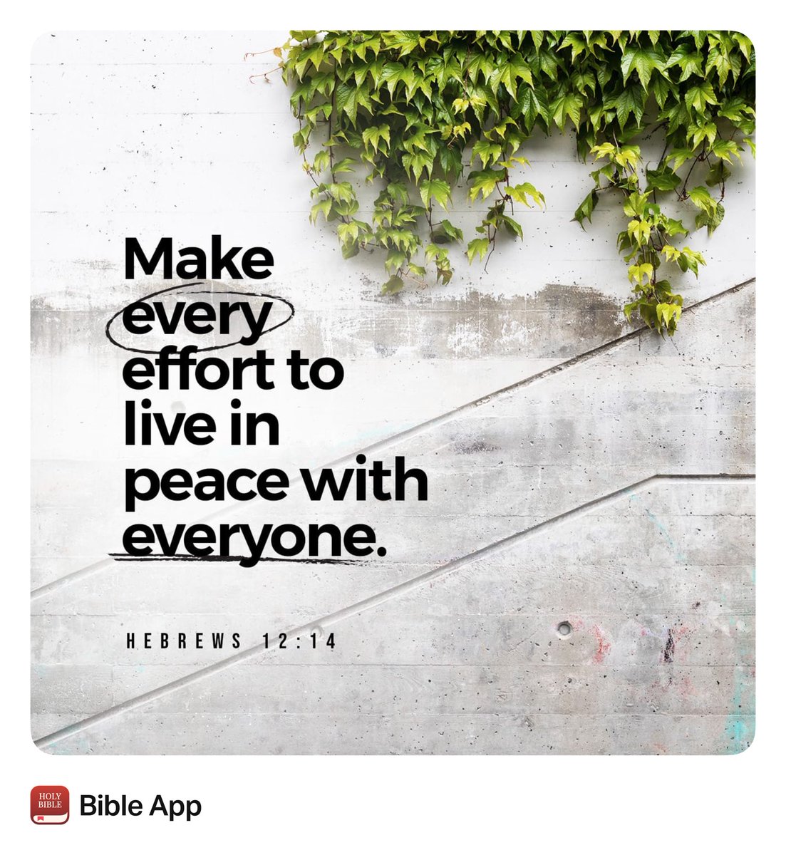 mchearne's tweet photo. https://t.co/O7HcJiWbMd