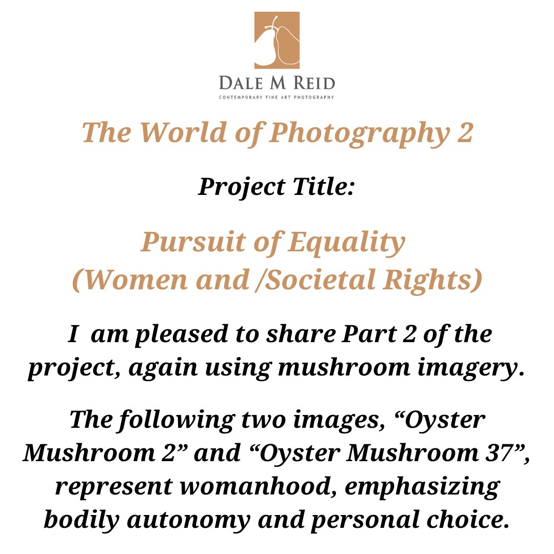 DaleMReid1's tweet photo. #creativity #newyorkcity #lisbon #porto #zurich #contemporaryart #fineart #mushrooms #artbooks #toronto #canada #artcollectors #unitedstates #barcelona #spain #portugal #miami #miamibeach #santafe #publication #buyart #venice #equality #socialjustice #womanhood #LGBTQ+ https://t.co/fWwR9A9d7u