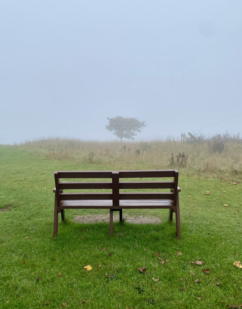 RBALibrary's tweet photo. Foggy day at @ZSLWhipsnadeZoo https://t.co/JNsd1VHeDb