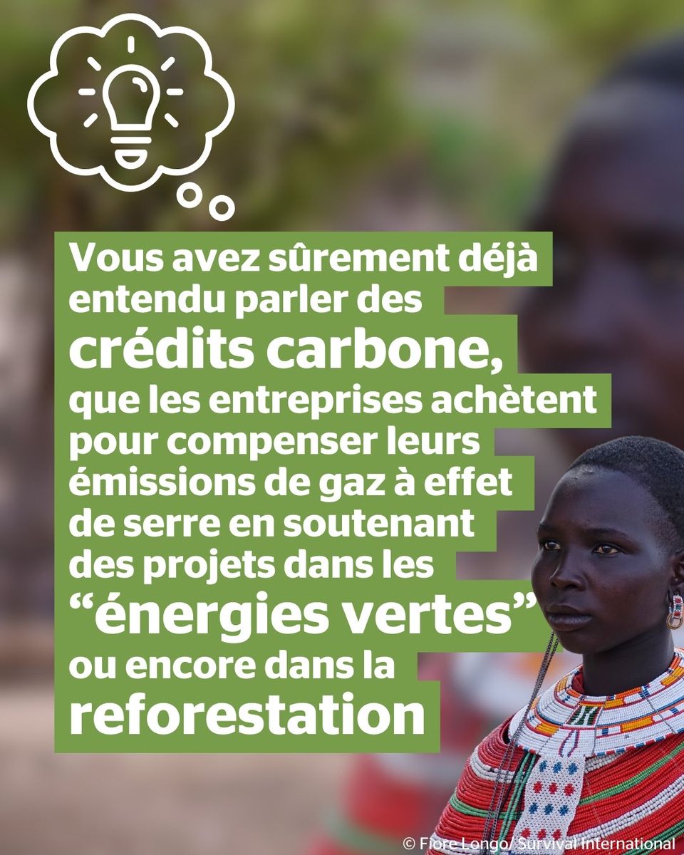 Survival International France tweet media