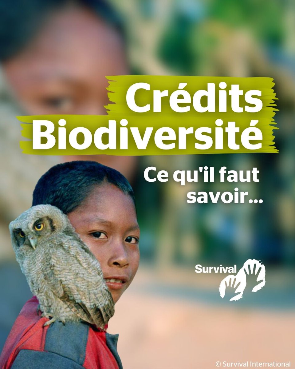 Survival International France tweet media