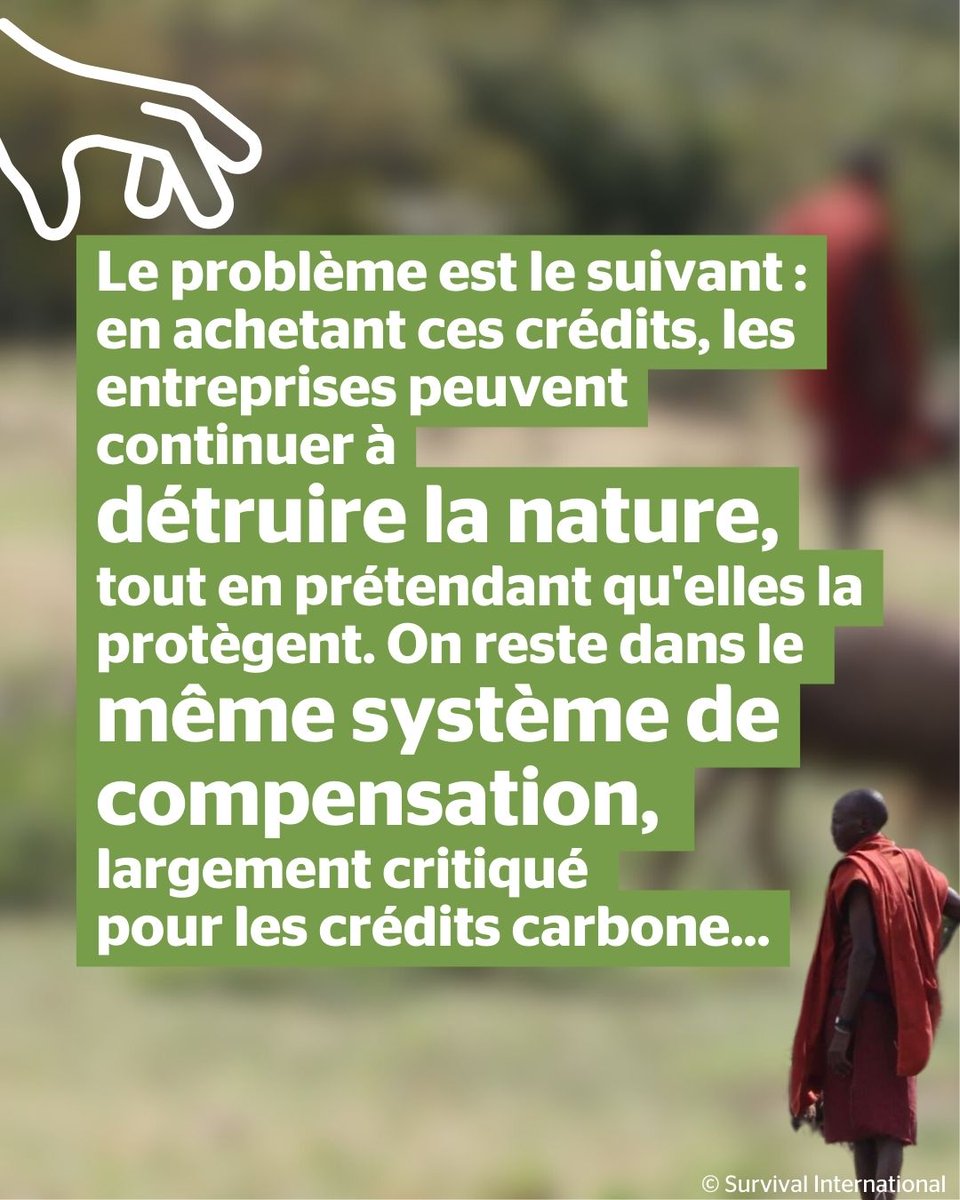 Survival International France tweet media