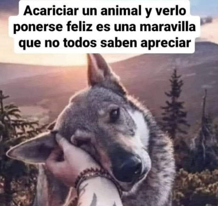 Buenos días Feliz viernes ✨💖