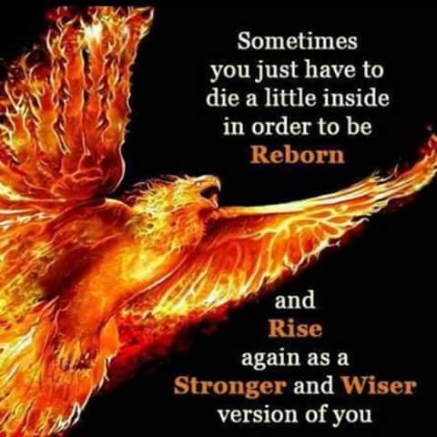 Justice4JessicaE. tweet media