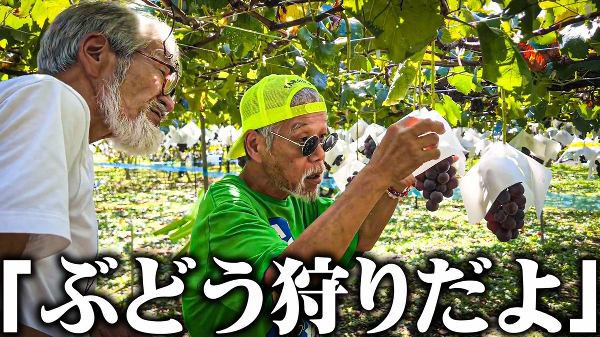 Homeless_kskm's tweet photo. こんばんは。
本日の動画です。
68歳の仲良しホームレスの2人組がぶどう狩りに出かけました。
https://t.co/dzVqmaoODN https://t.co/iKMI23Lsqs