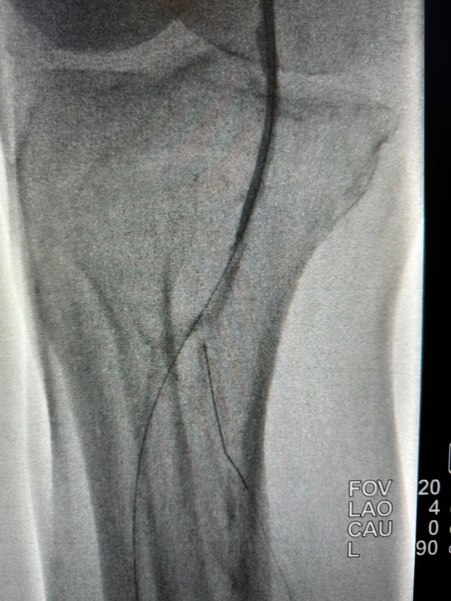 د.سلطان رباح الحربي | Dr. Sultan R.Alharbi tweet media