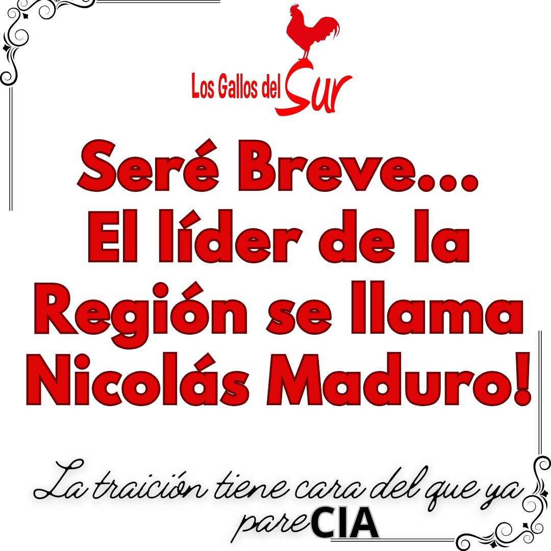 Los GALLOS del SUR tweet media