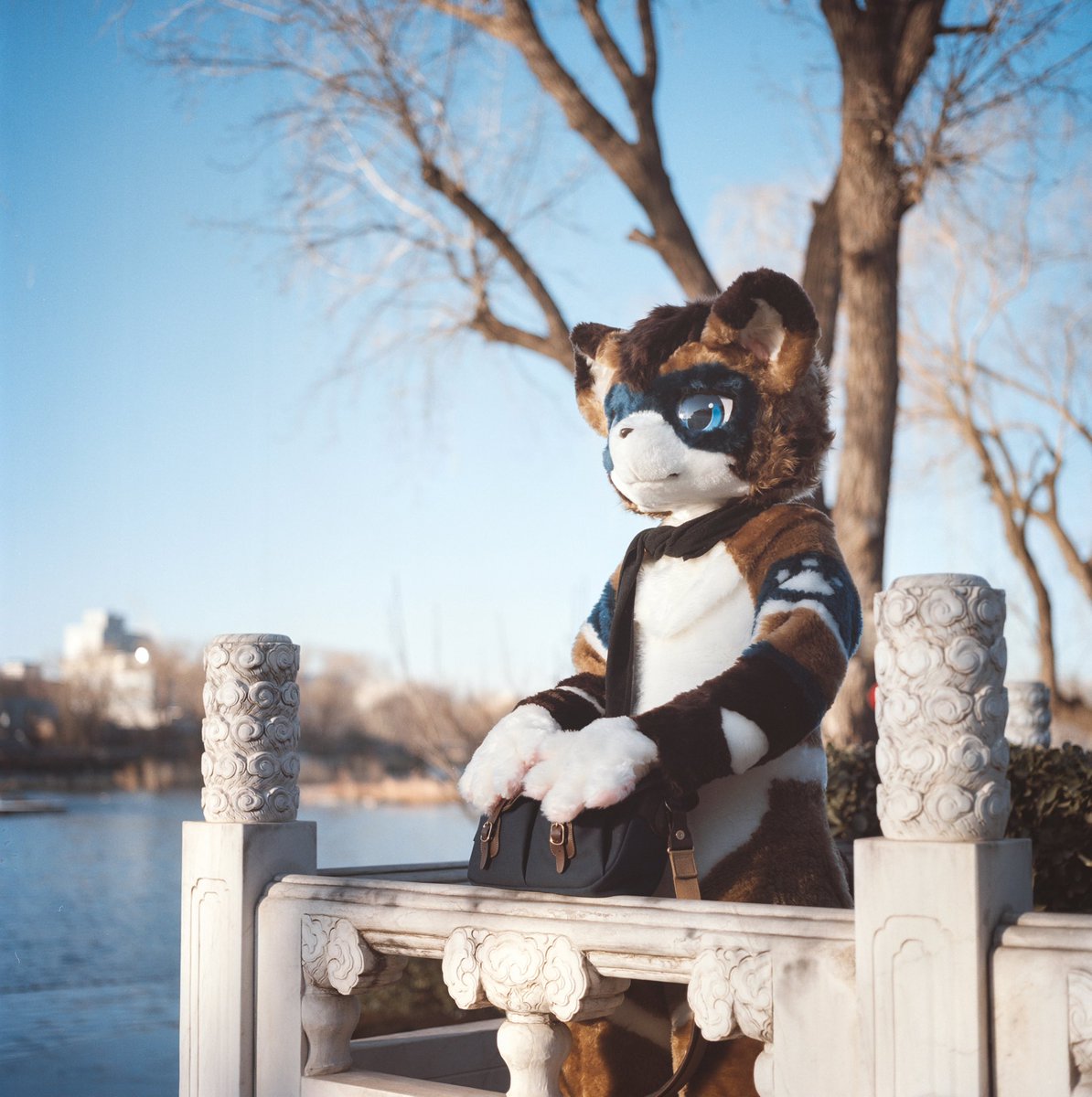 凝思

Photo by <a href="/chungou_cn/">📸風剣　NEXT👉万兽汇</a> 
#FursuitFriday