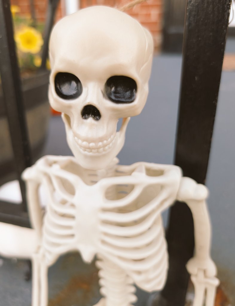 How I feel this morning.