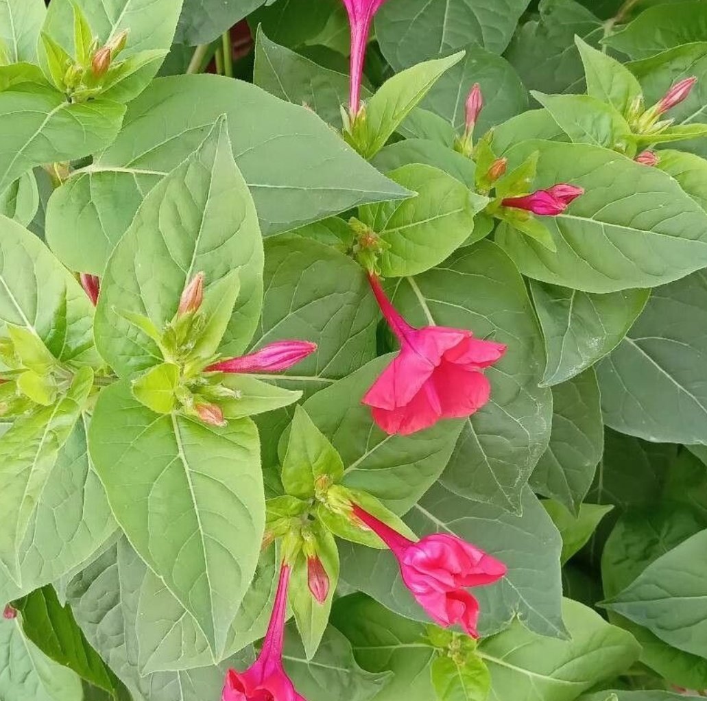 Just Because Someone Loves You. It  Doesn't Mean They Are Stupid. Just Because Someone Is Showing You Respect. Doesn't Mean They Are Weak. Respect People That Show You Kindness. Respect People That Consider Your Feelings.