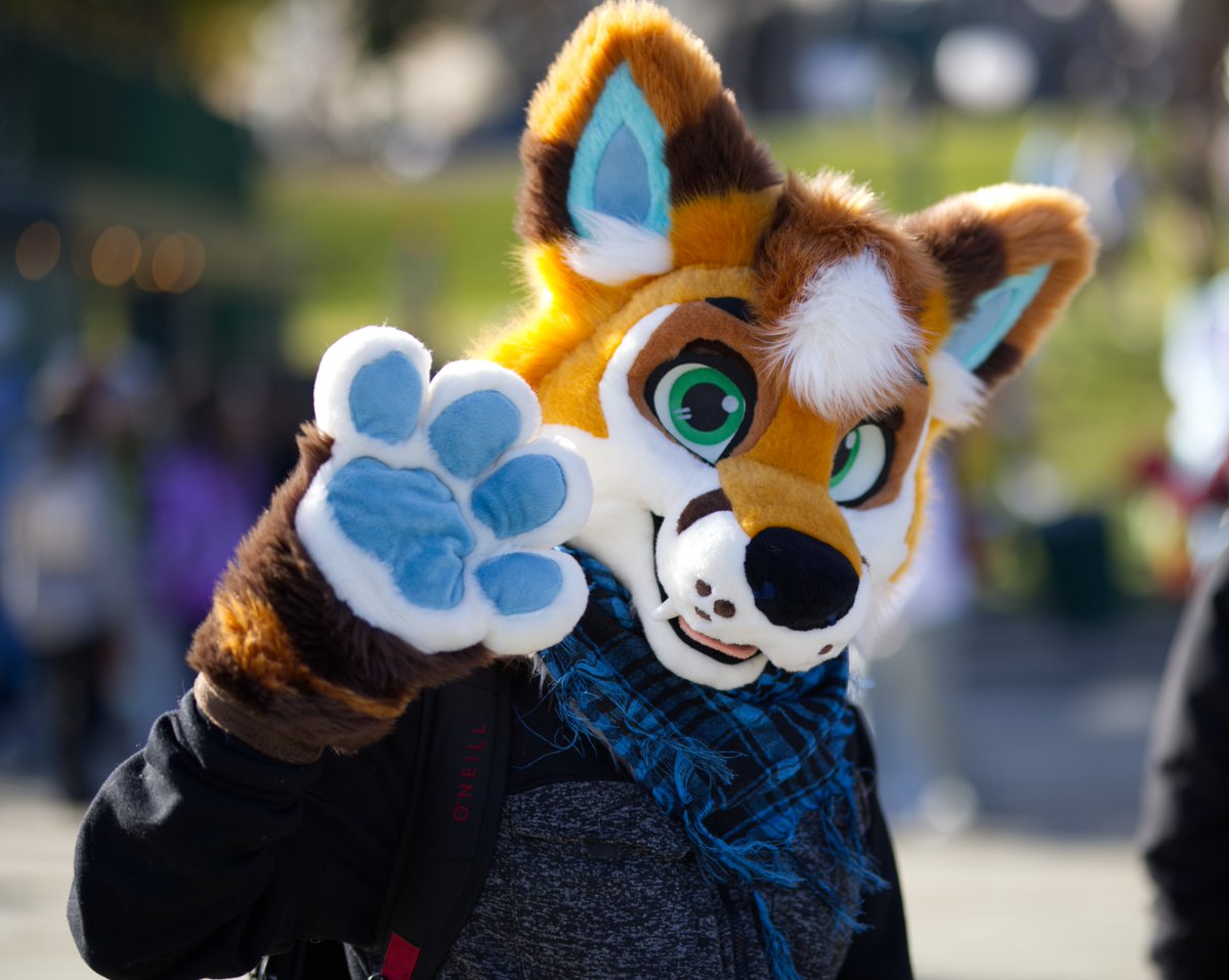 Hey there! I wish you a beautiful day🥰

📸 <a href="/ShotFired556/">ShotFired</a> 
🪡 <a href="/WildDogWorks/">WildDogWorks.com on 🦋</a> 
#FursuitFriday