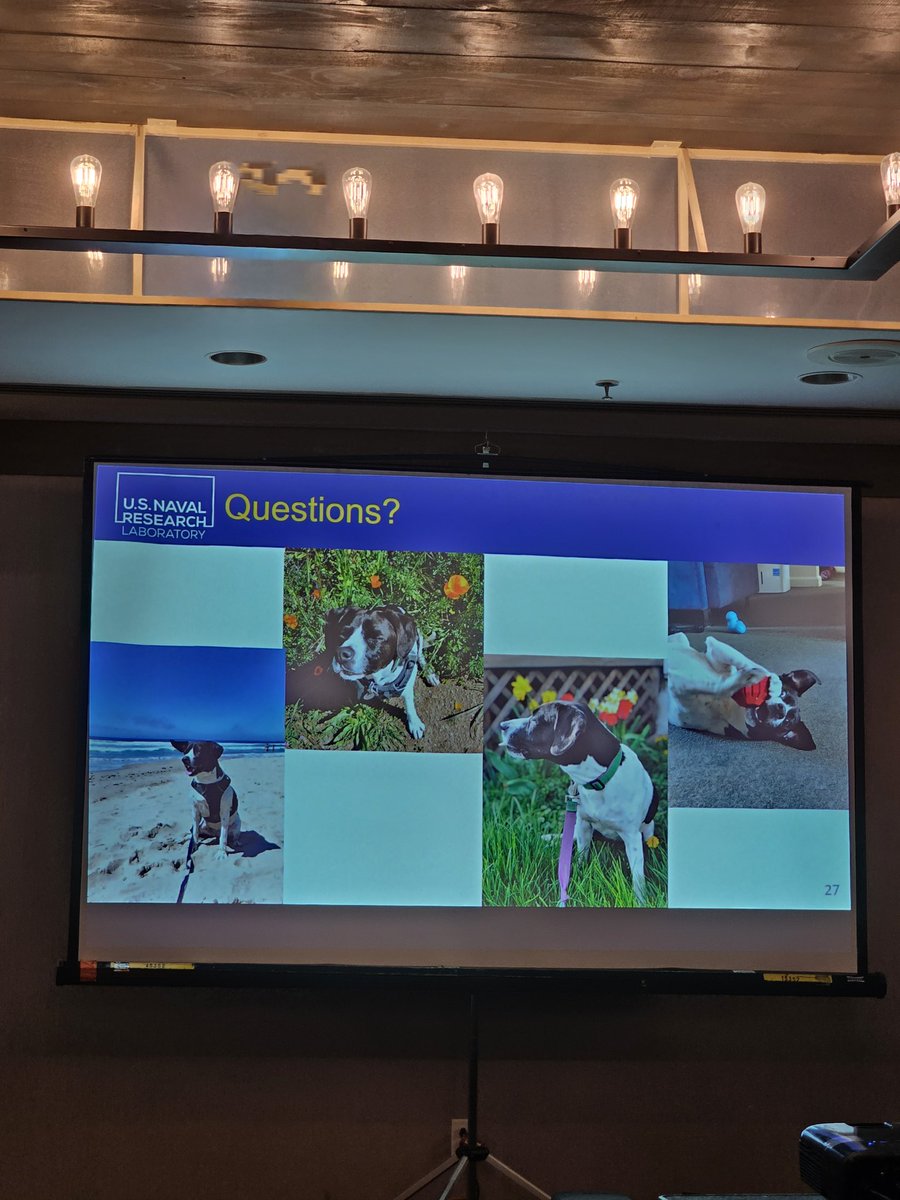 A great week in Quebec for another amazing #CycloneWorkshop! And of course, gotta love the inclusion of our pets! Happy to contribute by sharing pictures of my dog, Coriolis 😊 #CW20