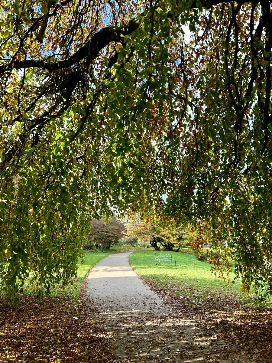 Sass Boucher MSc tweet media