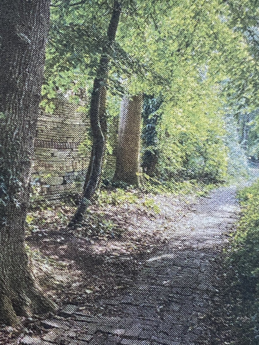 Anke Olthoff 🌱🪱♻️🌾 tweet media