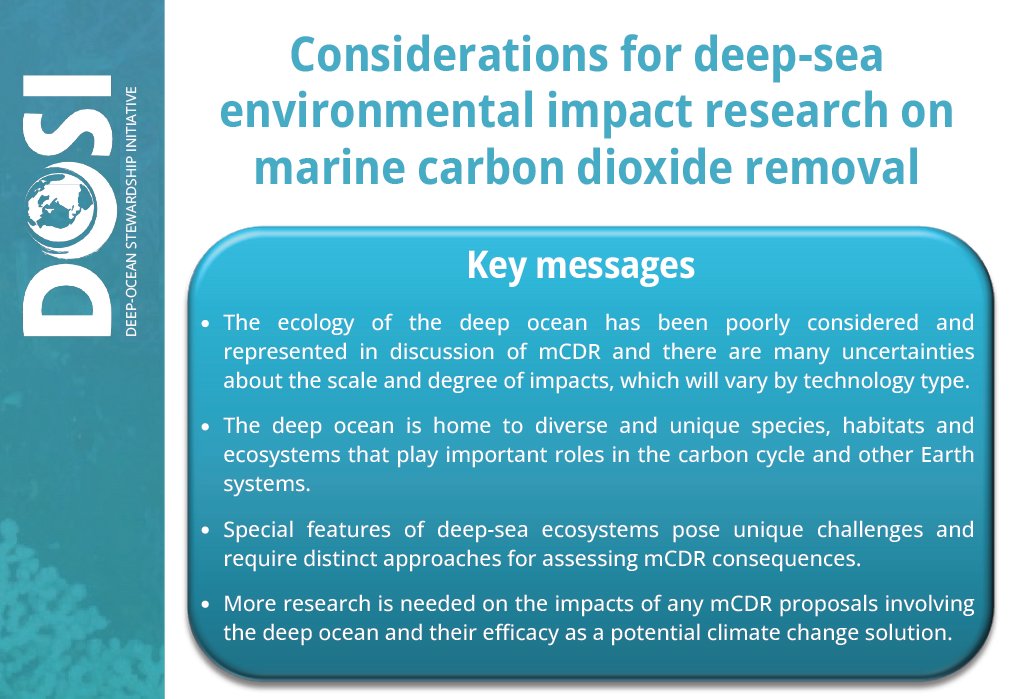 Are you at #OceanDay at #COP16Colombia?  Check out our new Policy Brief on considerations for deep-sea environmental impact research on #mCDR. There's no silver bullet for ocean-based climate interventions.

dosi-project.org/wp-content/upl…