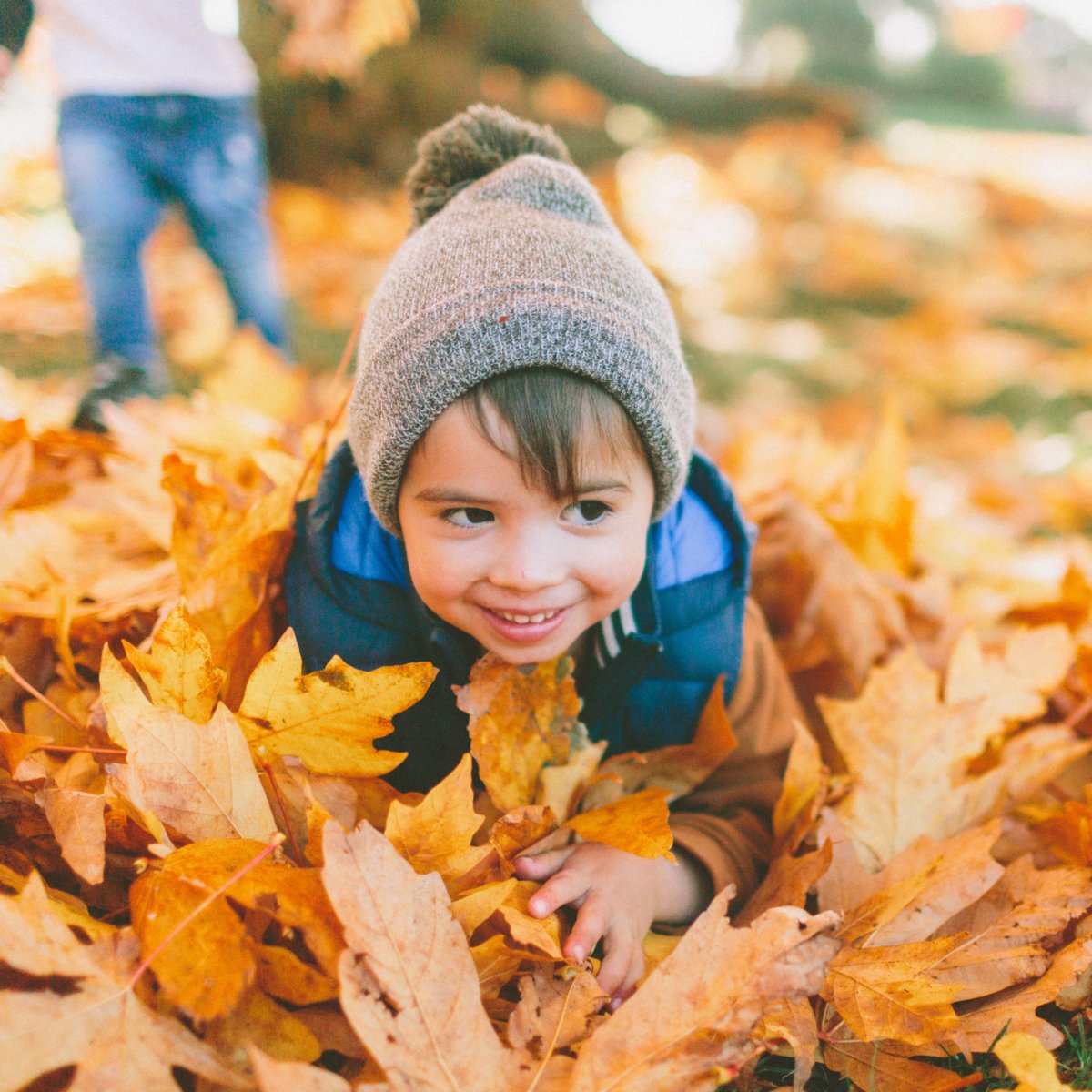 CountryInnRoch's tweet photo. Ready to #fall in love with Minnesota? Let Country Inn &amp; Suites Rochester South Mayo Clinic be your cozy home during your #autumn escape! Book it today by going to https://t.co/LgIB4DOdXV. #travel https://t.co/Nmg5BQSkwQ
