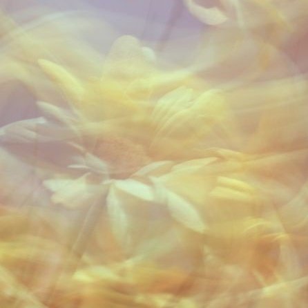 ㅤㅤ
──┈ 𝗠𝗜𝗦𝗜𝗢́𝗡 𝟬𝟬𝟱𝟱
        〝𝙻𝚊𝚜 𝚏𝚕𝚘𝚛𝚎𝚜 𝚍𝚎𝚕 𝚖𝚊𝚕〞

ㅤㅤㅤㅤㅤㅤㅤ• • •

ㅤㅤ⸫⸪  Testament
ㅤㅤ⸪⸫ <a href="/Happy_AssaSym/">Stყx Sιᥲᥒᥒodᥱᥣ</a>
ㅤㅤ