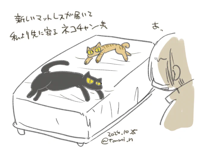【日記】飼い主より先に寝心地を確かめる 