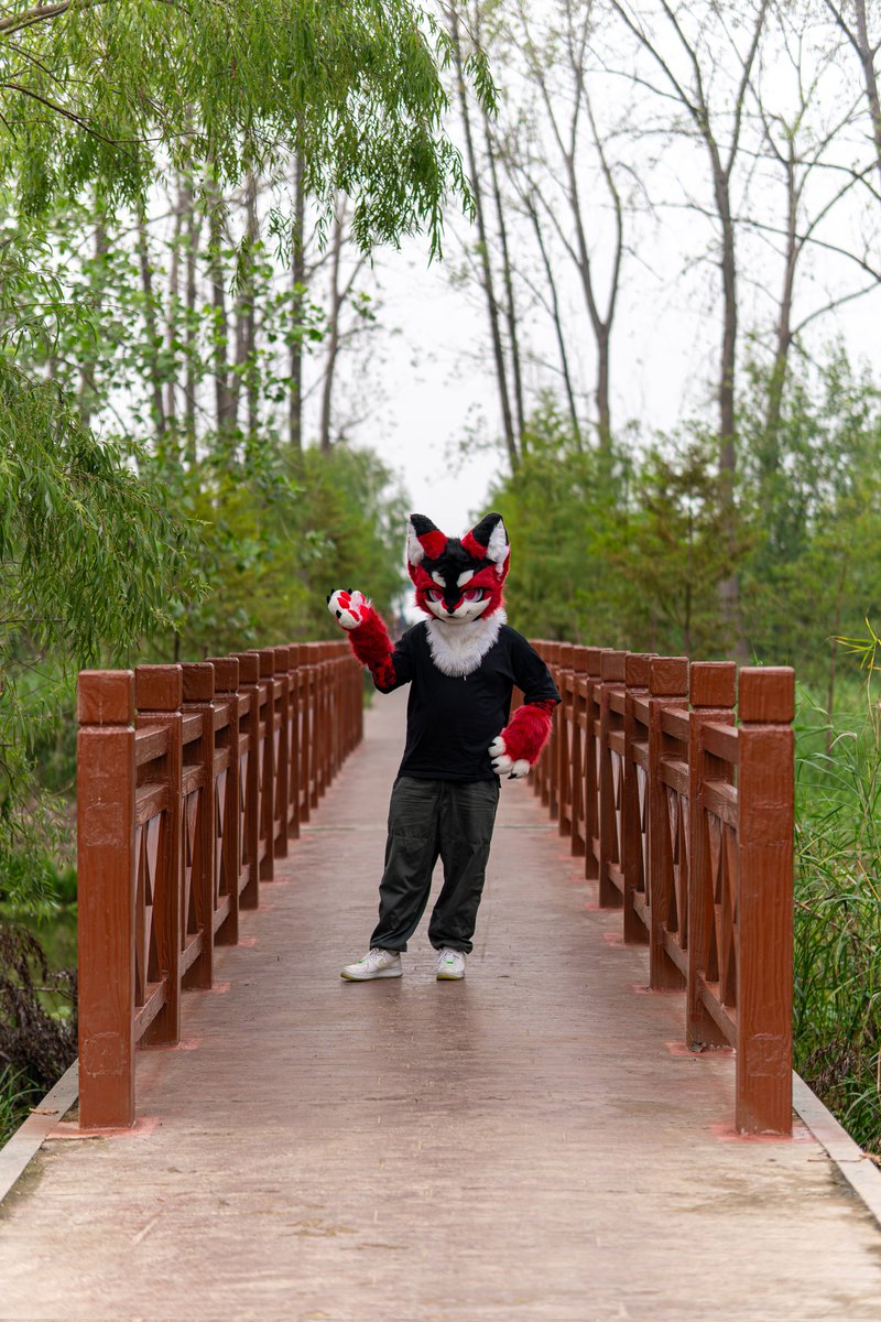 Kion618's tweet photo. 延误的毛五
📸@辉叶
#FursuitFriday 
#FursuitEveryday https://t.co/R6oTtOzKvJ