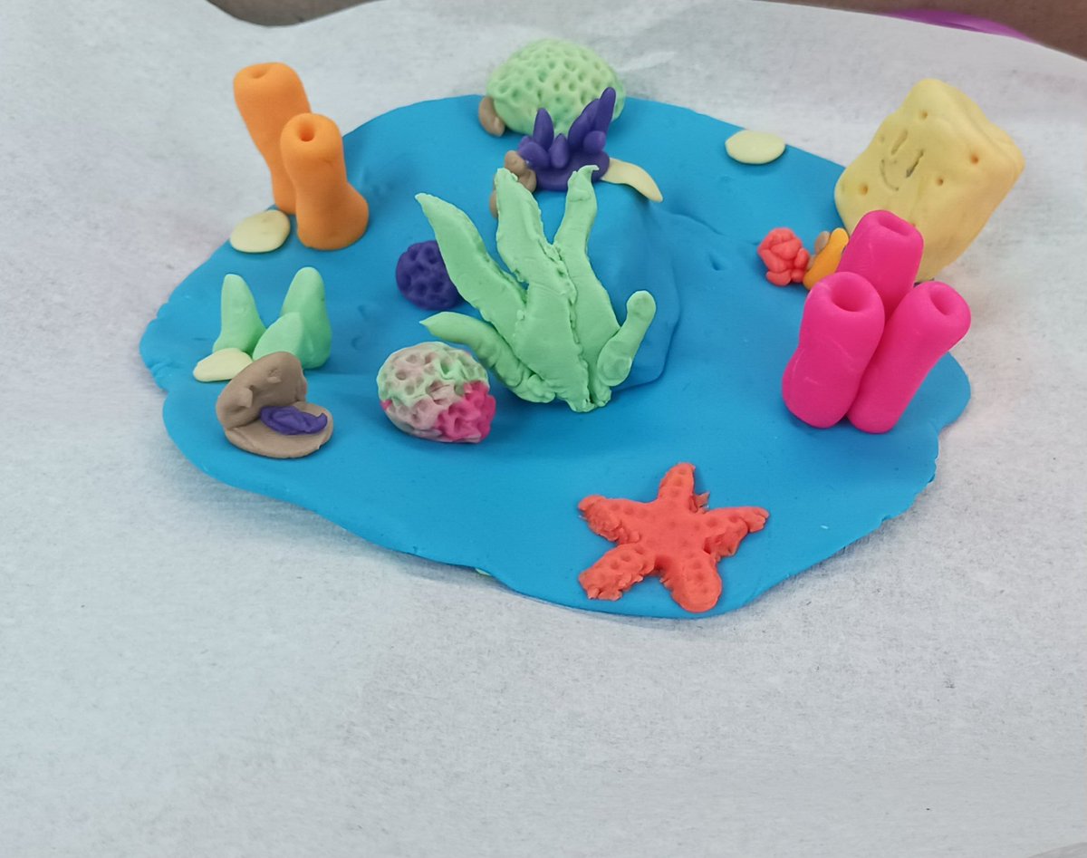 Stephanie O’Brien tweet media