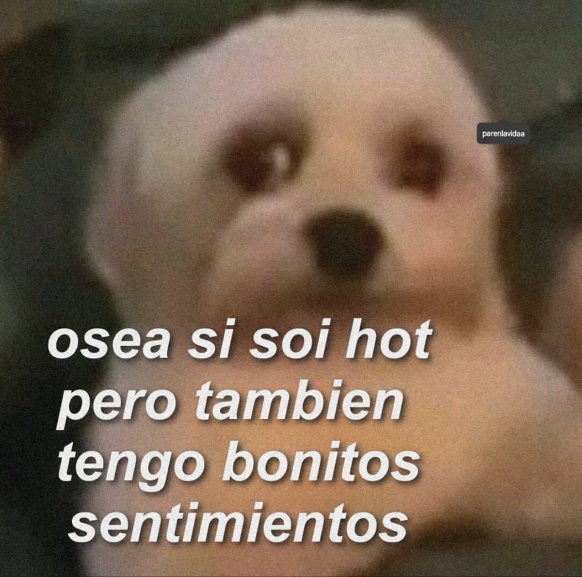 soyMargarlto's tweet photo. Asi es https://t.co/kiJuUfEXSK