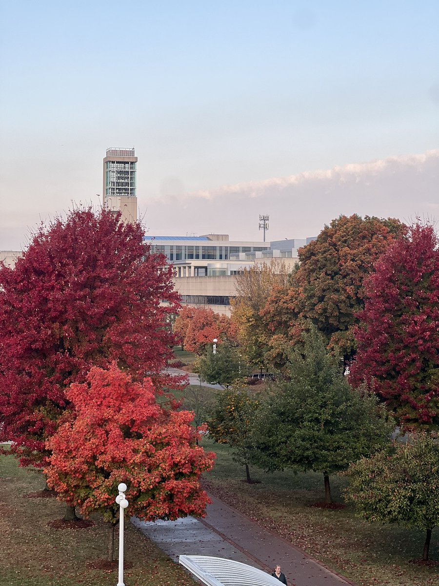 It’s a beautiful Friday #bizbears! Enjoy your weekend!