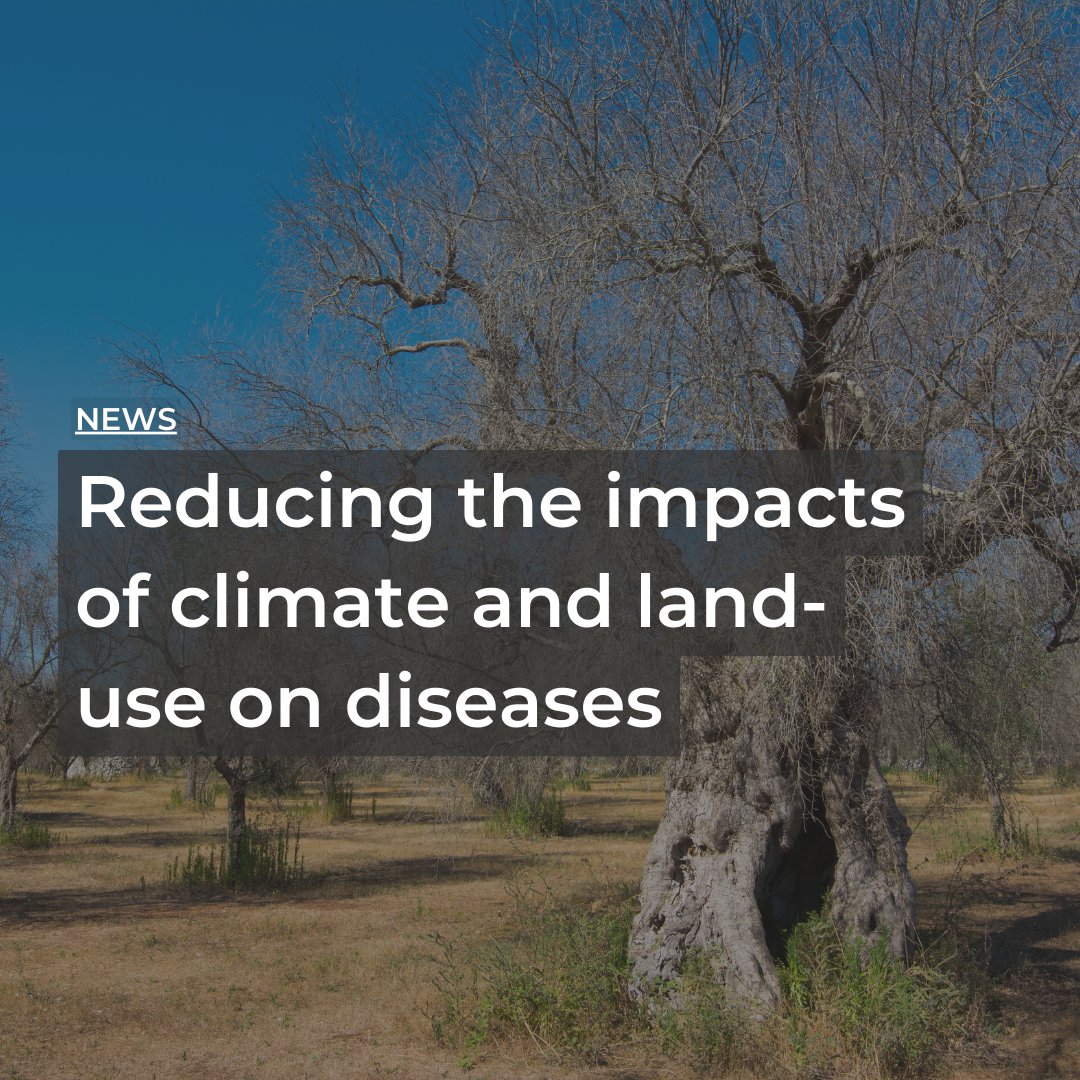 UK Centre for Ecology & Hydrology (@uk_ceh) on Twitter photo A new project will review how climate and land use change, and the ways we deal with them, will affect the spread of some diseases that pose a particular threat to humans, animals or plants. PrepSense is led by <a href="/drstevenmwhite/">Dr Steven White</a> 🌱🦌
Read more: ceh.ac.uk/news-and-media… A new project will review how climate and land use change, and the ways we deal with them, will affect the spread of some diseases that pose a particular threat to humans, animals or plants. PrepSense is led by <a href="/drstevenmwhite/">Dr Steven White</a> 🌱🦌
Read more: ceh.ac.uk/news-and-media…