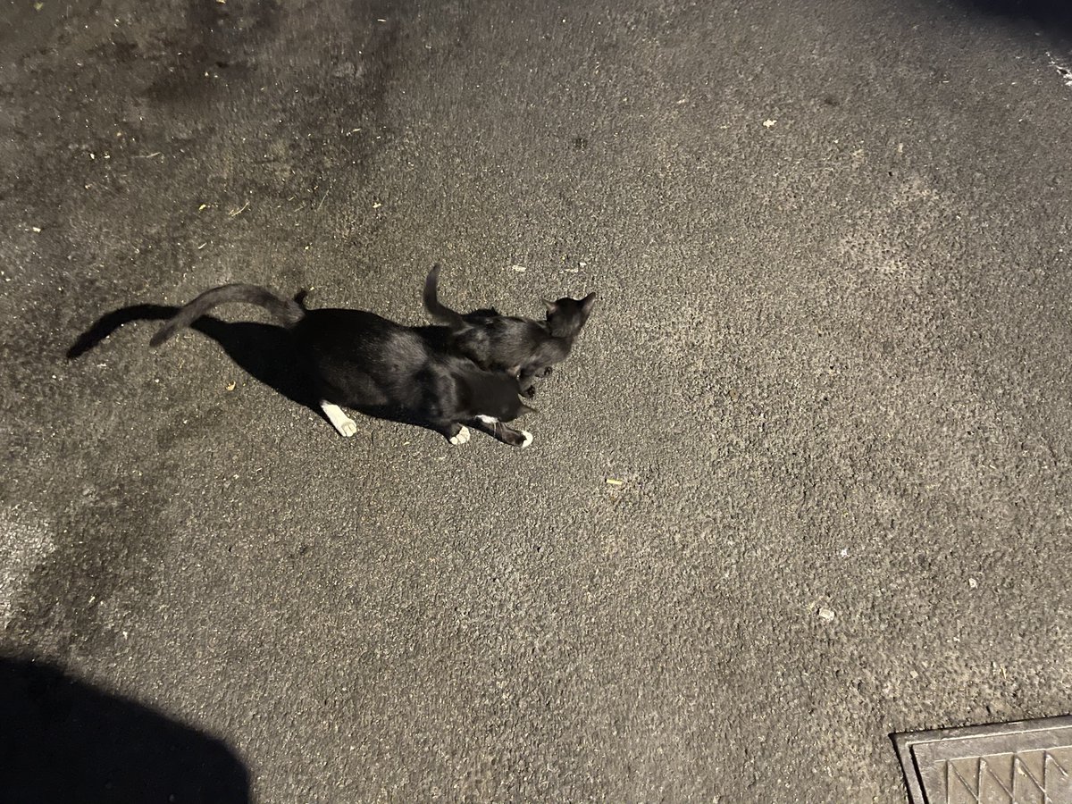 RebelliousClock's tweet photo. 近日，我区治安犯罪有明显抬头趋势。数量上看，从以往的个体犯罪发展成团伙作案。性质上看，从情感勒索演变为道德绑架。手法上看，从随机尾随乞讨快进到蹲点拦路抢劫。从图中不难看出，犯罪团伙的气焰十分嚣张，拦路摇人，拖家带口，目露凶光，可见性质极其恶劣。望广大市民朋友提高警惕，夜路慎行 https://t.co/69burnibUT
