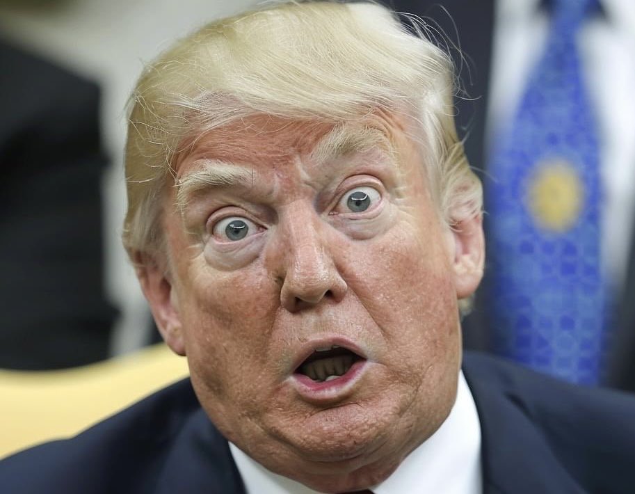 light_create's tweet image. In Trump world
NOTHING MATTERS!
(But Trump!)
Not the law, not an insurrection, or liking Hitler, NOTHING MATTERS!

In Kamala's W H,
EVERYTHING MATTERS!
The law matters!
Democracy matters!
YOUR FREEDOMS MATTER!
Seeing other people as neighbors matters!
Voting matters &amp;amp; you matter!