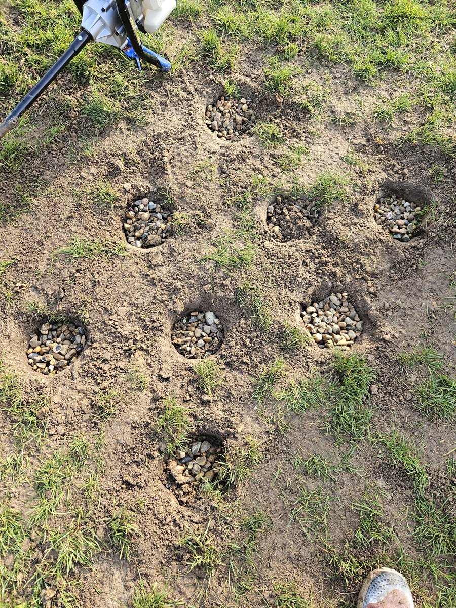 BGroundsman's tweet image. Post hole soak aways a low spot on the training pitch
14 x 1m deep 4" holes filled with 20mm shingle, topped with 70/30 sport mix
Will throw some seed, but being used 6 days a week, I'm not holding much hope it'll grow
#volunteergroundsman
#communityrugby
@BillericayRFC