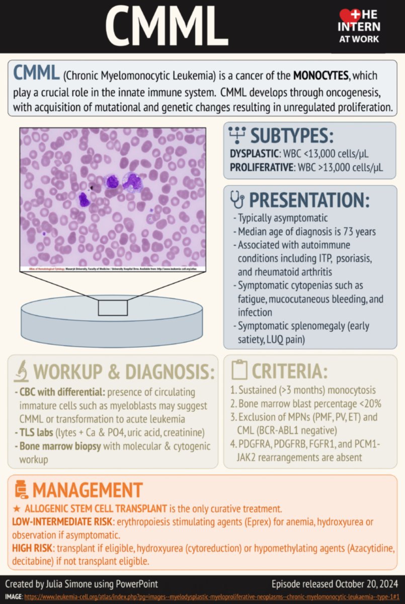 Medicine Pods (@medicinepods) on Twitter photo Happy Friday! 🎉 Looking for a website with CMML insights? You've found it! 💻🎧 Check out our recent podcast and infographic, 'Months of Monocytosis – An approach to CMML' on medicinepods.com ‼️ <a href="/InternAtWork/">The Intern At Work</a> <a href="/roundtable/">Roundtable</a> #Medtwitter #InternalMedicinePRN Happy Friday! 🎉 Looking for a website with CMML insights? You've found it! 💻🎧 Check out our recent podcast and infographic, 'Months of Monocytosis – An approach to CMML' on medicinepods.com ‼️ <a href="/InternAtWork/">The Intern At Work</a> <a href="/roundtable/">Roundtable</a> #Medtwitter #InternalMedicinePRN