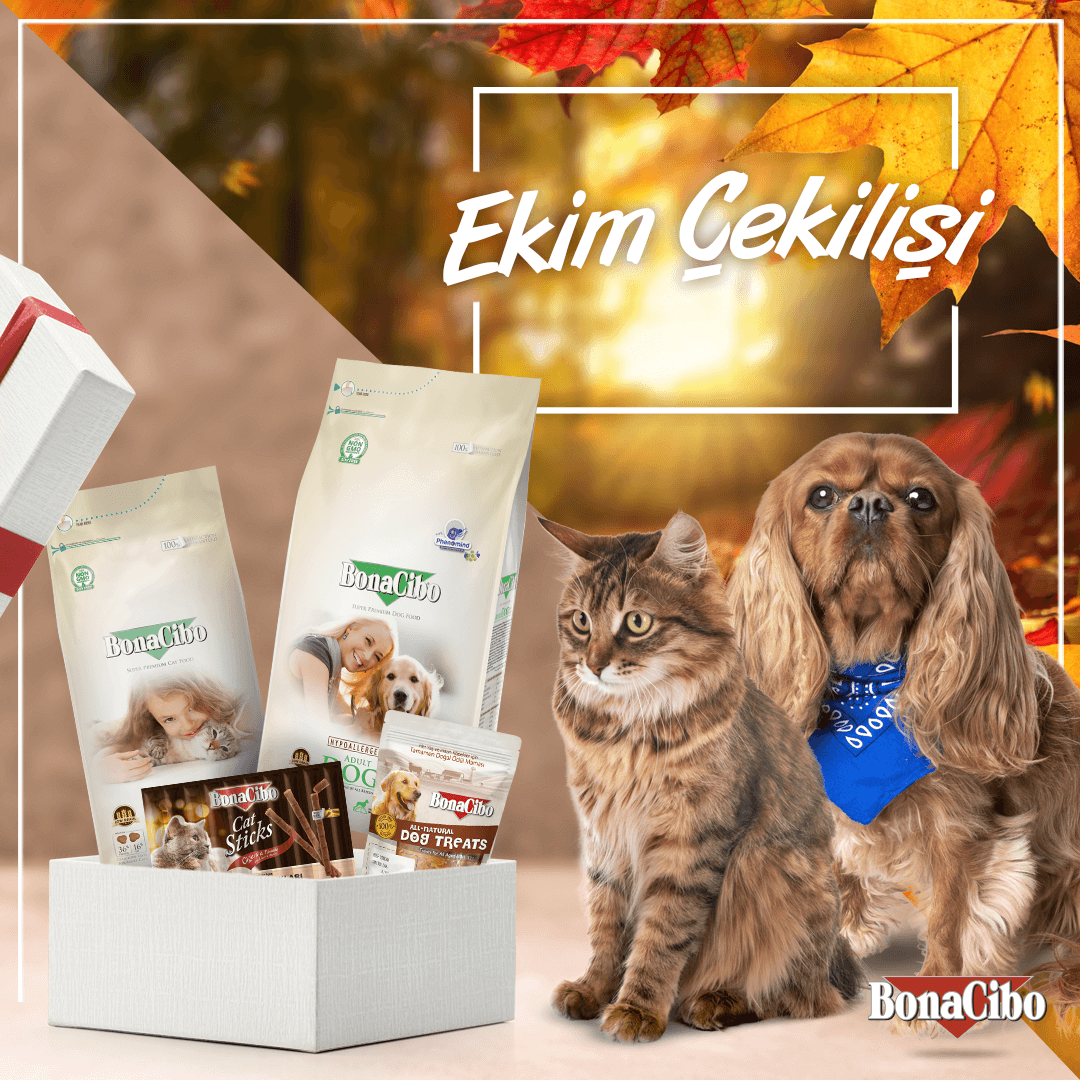 📣 BonaCibo'da Ekim Çekilişi! 📣

👉 <a href="/BONACIBO/">Bonacibo Cat & Dog Food</a> hesabımızı takip et. ✔️⁠
👉 Gönderimizi beğen ve repostla. ❤️⁠
👉 Bir arkadaşını yoruma etiketle. 💬⁠

5 takipçimize: 😻 4kg kuru #KediMaması + ödül çubuğu veya 🐶 8kg kuru #KöpekMaması + ödül maması!

Sonuçlar 5 Kasım!🤩