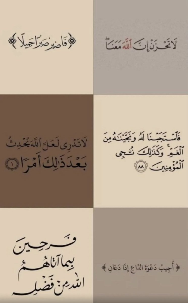 أفنان tweet media
