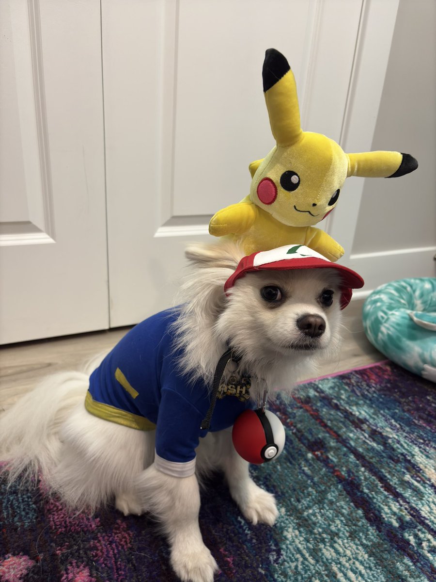JaimeMichele's tweet photo. The cutest and funniest thing you’ll see all day….all week…ALL MONTH 
I painted the hat and shirt 😁
@Pokemon @PokemonGoApp @NintendoAmerica https://t.co/8khzxkAD3u