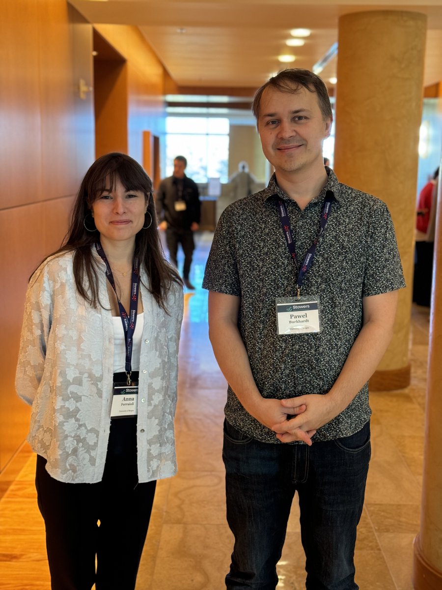 Stowers Institute (@sciencestowers) on Twitter photo The next #TandemTalk at #SRCKC24 is from <a href="/Pawel_Burkhardt/">Pawel Burkhardt</a> and postdoc <a href="/AnnaFerraioli_/">Anna Ferraioli</a> from <a href="/UiB/">Universitetet i Bergen</a>! #EvoDevo #DevBio The next #TandemTalk at #SRCKC24 is from <a href="/Pawel_Burkhardt/">Pawel Burkhardt</a> and postdoc <a href="/AnnaFerraioli_/">Anna Ferraioli</a> from <a href="/UiB/">Universitetet i Bergen</a>! #EvoDevo #DevBio