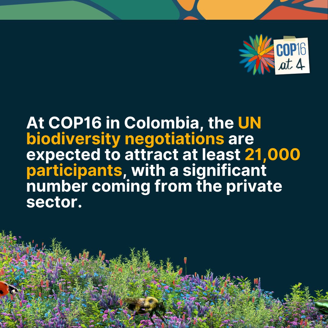 3Bee_naturetech tweet media