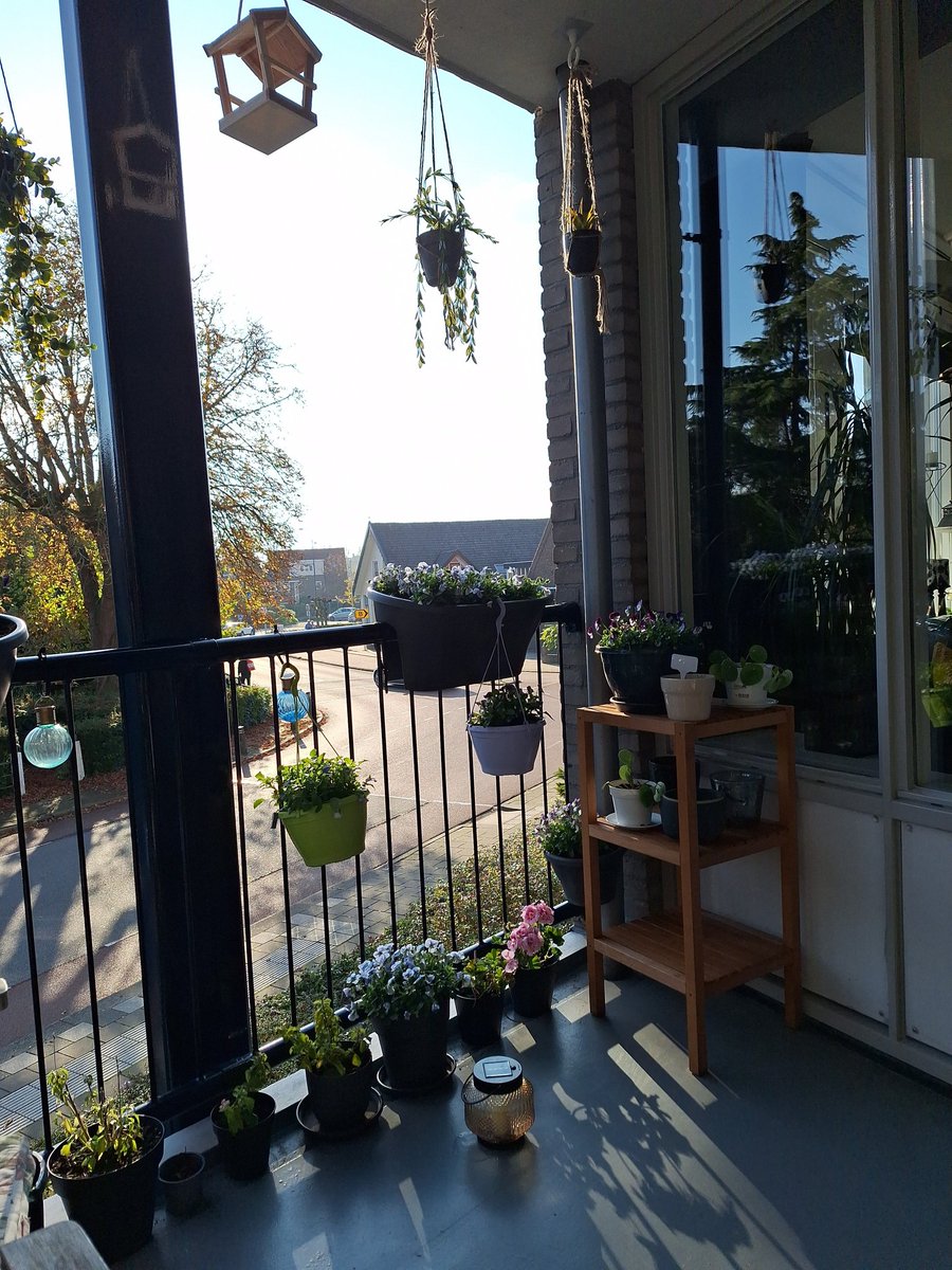 Eind oktober en 20 graden 😎