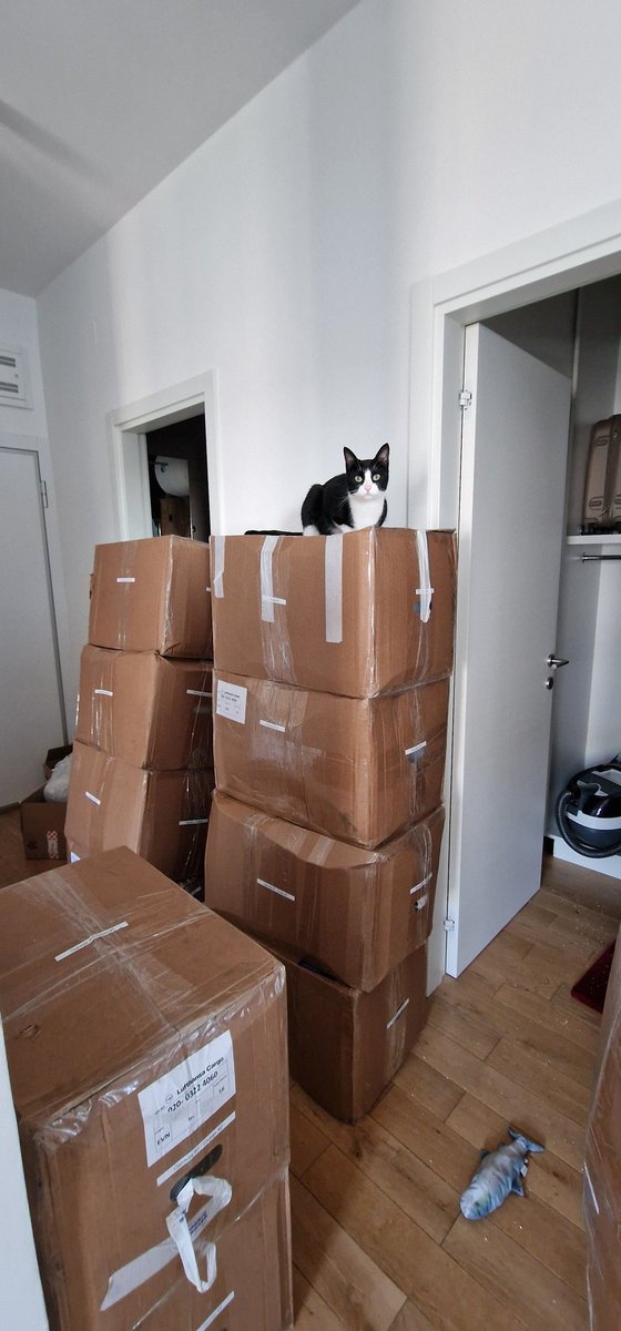 Alexey Cluster tweet media