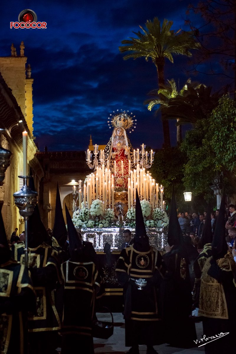 Foto 9: Fotografía de la Hermandad de los Dolores en el Patio de los Naranjos. Primer premio del XXXVII concurso de fotografía de la Agrupación de Hermandades y Cofradías de Córdoba del año 2016.