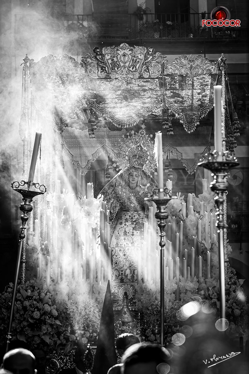 Foto 16: Fotografía de la Hermandad de la Esperanza en la Plaza de la Corredera el Domingo de Ramos de 2023. Portada de los programas de mano de Semana Santa de PTV Córdoba.