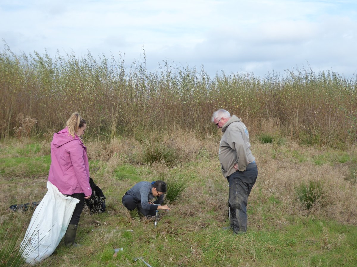 Mike Peacock (@mikepeacock86) on Twitter photo On the Manchester Mosses with <a href="/Silverthorn_T/">Teresa Silverthorn</a> & <a href="/LauraBaugh94/">Laura Baugh</a> for a masterclass in peat coring by <a href="/rchiverrell/">Rich Chiverrell</a>. Two ex-croplands (now grasslands) with raised water tables successfully cored for our LP3+ project. #PeatTwitter On the Manchester Mosses with <a href="/Silverthorn_T/">Teresa Silverthorn</a> & <a href="/LauraBaugh94/">Laura Baugh</a> for a masterclass in peat coring by <a href="/rchiverrell/">Rich Chiverrell</a>. Two ex-croplands (now grasslands) with raised water tables successfully cored for our LP3+ project. #PeatTwitter